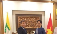 越南外交部副部长武鸿南对缅甸进行工作访问 