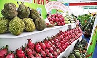越南水果出口猛增