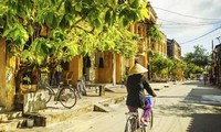 越南——外国游客的理想旅游目的地