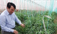 日本帮助林同省成为东南亚高价值农业中心 