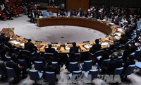  联合国安理会通过有关反恐的决议