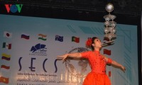 越南参加埃及开罗萨奇亚国际文化节  