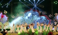 2018年羊蹄甲花节   弘扬传统文化