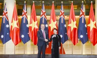 越南和澳大利亚高级会谈