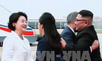 韩国总统开始与朝鲜领导人举行会谈