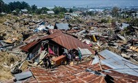 印度尼西亚地震和海啸：加强救援力量和保障帕卢市安全