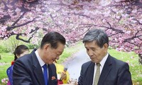 日本派遣代表团赴朝鲜讨论两国关系正常化问题