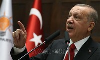 土耳其总统突访突尼斯 就利比亚问题进行讨论