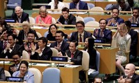 越南正式担任联合国安理会非常任理事国职务