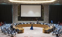 联合国安理会通过有关海地的第2547号决议