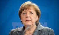 เยอรมนีและญี่ปุ่นหารือเกี่ยวกับระเบียบวาระการประชุมสุดยอด G7  