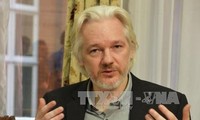 Wikileaks опубликовал документы о слежке АНБ США за мировыми лидерами