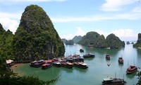 Зарубежные турагентства изучают туристический потенциал Вьетнама