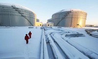 ОПЕК и крупные производители нефти проведут переговоры по стабилизации цен на нефть