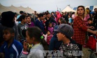 Австрия предупреждает о рекордном росте числа беженцев в Италию