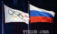 МОК принял решение не отстранять всю сборную России от участия в Олимпиадах 2016 года