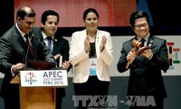 Страны АТЭС поддерживают проведение саммита в 2017 году во Вьетнаме
