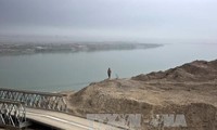 Ирак: Войска коалиции уничтожили мост для поставки бойцов ИГИЛ в Мосуле