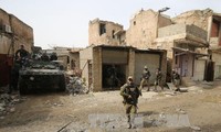 Иракские вооруженные силы освободили еще несколько районов Мосула