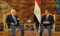 Египет и Палестина обсудили процесс перемирия на Ближнем Востоке
