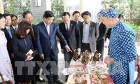 Активизация инвестиционного сотрудничества между японским регионом Кансай и городом Хошимин