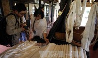 Фестиваль шелка и парчи 2017 пройдет в городе Хойан