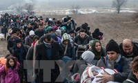 Германия продолжает депортацию афганских мигрантов
