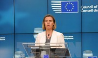 ЕС выражает соболезнования в связи с ущербом, нанесенным тайфуном Дамри во Вьетнаме 