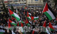 Мировая общественность продолжает критиковать решение США по Иерусалиму