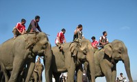 Народность М’Нонг до сих пор сохраняет традицию поклонения культу Слона 