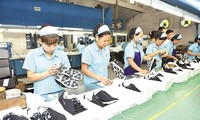 Экспорт кожевенно-обувной продукции Вьетнама в 2018 году имеет большую перспективу развития