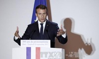 Франция призвала Запад к совместному решению сирийского кризиса
