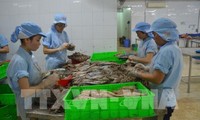 Вьетнамские морепродукты подтверждают свою сильную позицию на рынке Европы