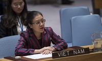 Вьетнам призвал Совбез ООН принять участие в решении израильско-палестинского конфликта