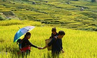 Ради устойчивого развития вьетнамской семьи в эпоху  модернизации и индустриализации
