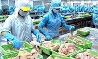 Усилия по отмене «желтой карточки» ЕС в отношении вьетнамских морепродуктов