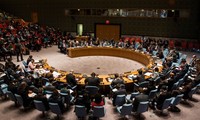 Великобритания сообщила Совбезу ООН новую информацию по делу Скрипалей