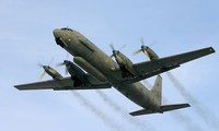В России завели уголовное дело в связи с сбитым в Сирии  самолетом Ил-20