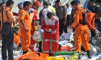 Руководители Вьетнама направили телеграмму соболезнования президенту Индонезии в связи с авиакатастрофой