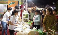 Различные мероприятия, посвященные празднику Ок Ом Бок кхмерской народности на юге Вьетнама