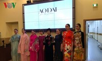 Популяризация вьетнамской культуры в России через представление национального платья «ао-зяй» 