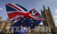 ЕС одобрил запасной план в случае не достижения соглашения по «брекситу»