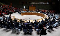Германия призвала реформировать Совет Безопасности ООН