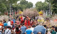 Фестиваль японской сакуры в Ханое посетили почти один млн. гостей