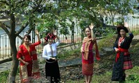 Сохранение и развитие культурных ценностей нацменьшинств Вьетнама