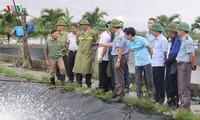 Замминистра сельского хозяйства и развития деревни СРВ Фунг Дык Тиен проверил ход сельскохозяйственных работ в городе Хайфоне