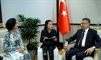 Вьетнам придает важное значение активизации многостороннего сотрудничества с Турцией