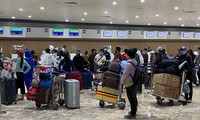 Возвращение 240 вьетнамских граждан с Филиппин на родину