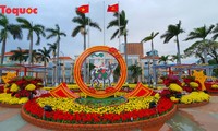Открылась цветочная весенняя улица в городе Дананге 