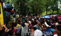 Сингапур поддерживает усилия АСЕАН по налаживанию ситуации в штате Ракхайн в Мьянме